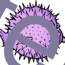 a template